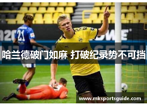 哈兰德破门如麻 打破纪录势不可挡