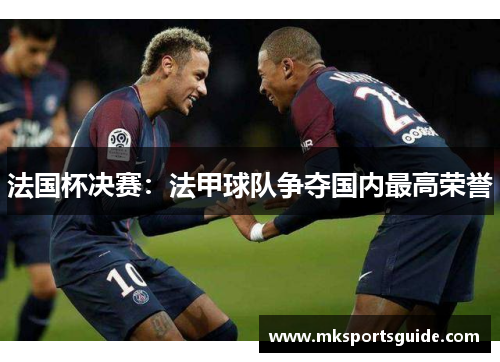 法国杯决赛：法甲球队争夺国内最高荣誉