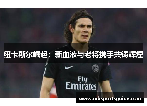 纽卡斯尔崛起：新血液与老将携手共铸辉煌